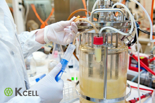 K-cell(한국 최대·아시아-태평양 2위 규모) 케이셀 바이오사이언스(KCell Biosciences)가 세포배양배지(cell culture media) 생산공장을 부산 기장에 건설한다